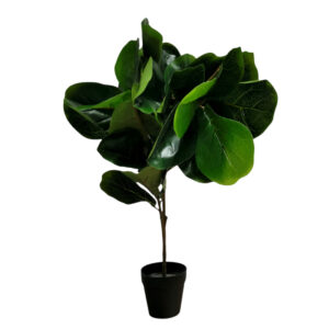 Faux Fig Tree Plant