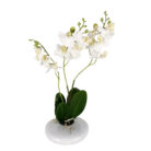 Faux White Orchid In Pot