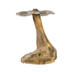 Organic Teak Mushroom Sculpture