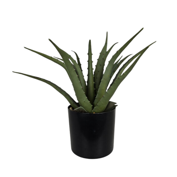 Aloe-Faux-Plant-In-Pot.jpg Aloe-Faux-Plant-In-Pot.jpg
