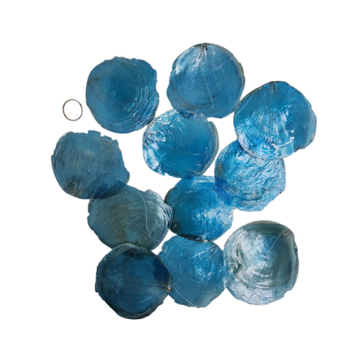 Blue-Shells-On-A-String.jpg Blue-Shells-On-A-String.jpg