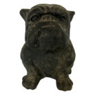 Bulldog-front-sotran-BUK0401.jpg