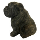 Bulldog-side-sotran-BUK0401.jpg
