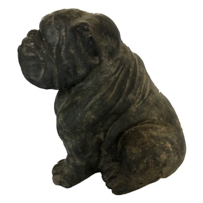 Bulldog-side-sotran-BUK0401.jpg Bulldog-side-sotran-BUK0401.jpg