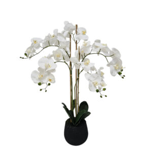 Faux White Orchid In Polystyrene Pot