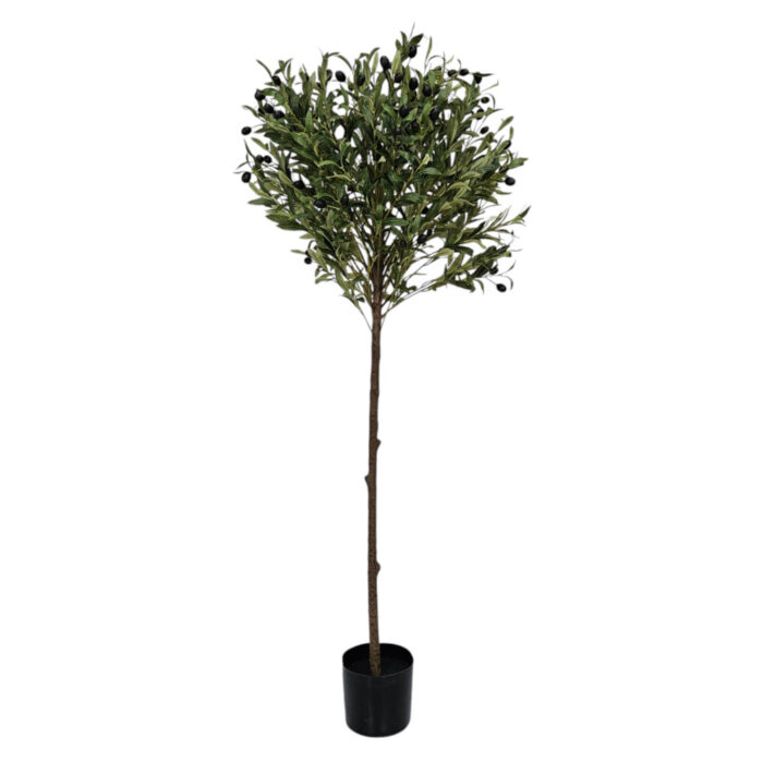 Faux-Olive-Tree.jpg Faux-Olive-Tree.jpg