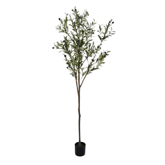 Faux-Olive-Tree-Plant.jpg Faux-Olive-Tree-Plant.jpg