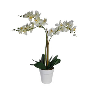 Faux White Orchid
