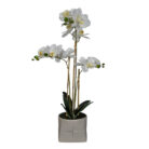 Faux White Orchid