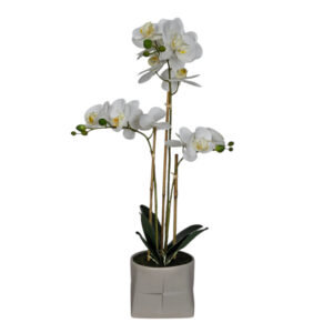 Faux White Orchid