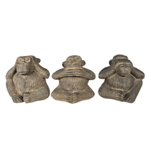 Monkey See Speak Hear No Evil
