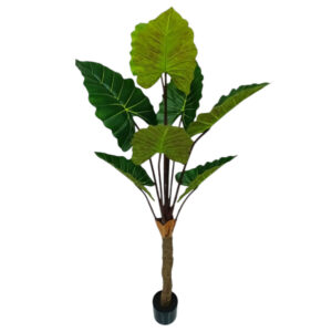 Faux Elephant Ear Plant
