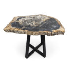 Natural-Petrified-Stone-Table-Main-BUK9504.jpg