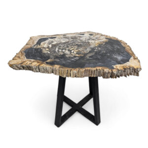 Petrified Stone Side Table
