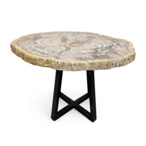Petrified Stone Side Table