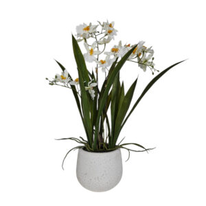 Faux White Oncidium Orchid