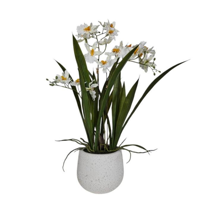 Faux White Oncidium Orchid Faux White Oncidium Orchid