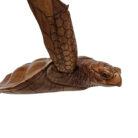 Swimming-Wall-Turtle-Right-C.jpg
