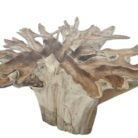 Teak Root Scoop Dining Table2