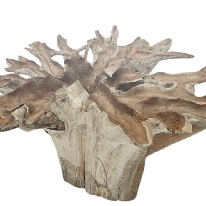 Teak Root Scoop Dining Table2 Teak Root Scoop Dining Table2