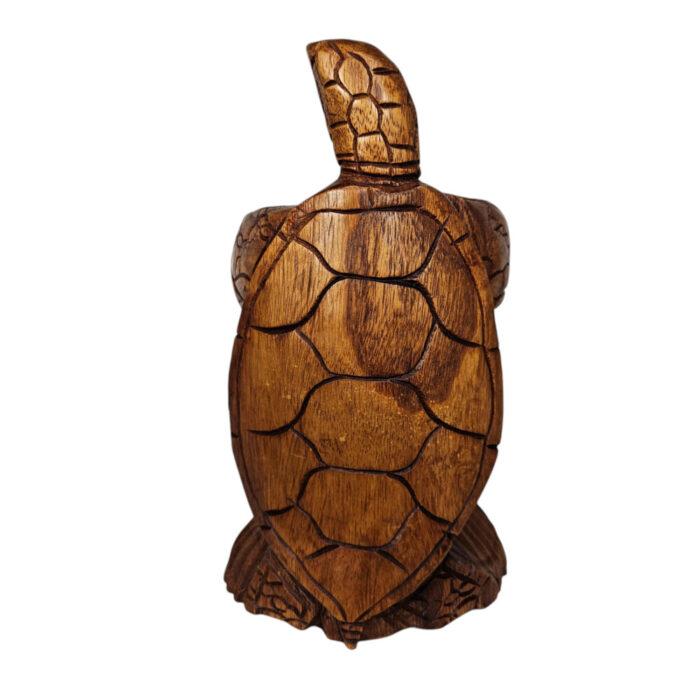 Turtle-Bottle-Holder-Front.jpg Turtle-Bottle-Holder-Front.jpg