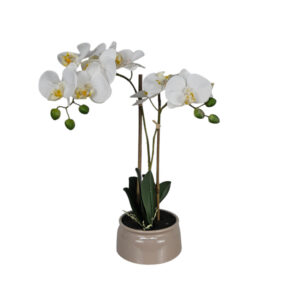 Faux Orchid in Ceramic Beige Planter