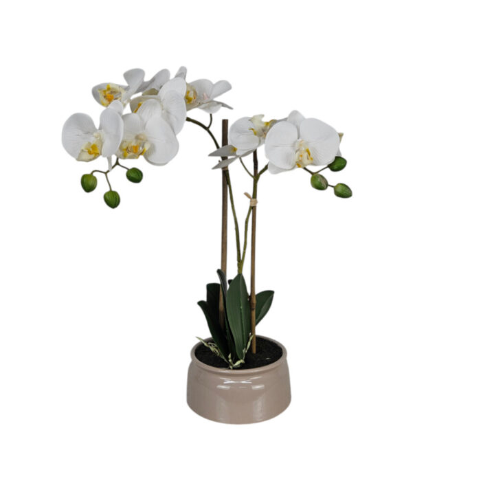 White-Faux-Orchid-Beige-Pot.jpg White-Faux-Orchid-Beige-Pot.jpg